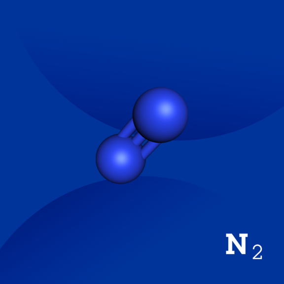 Nitrogen (질소)